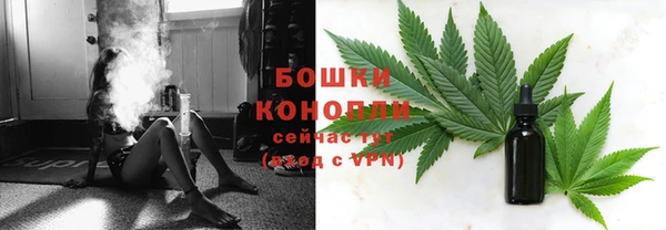 амф Новокубанск
