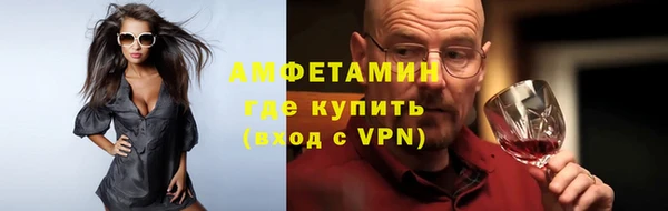 прущие грибы Новодвинск