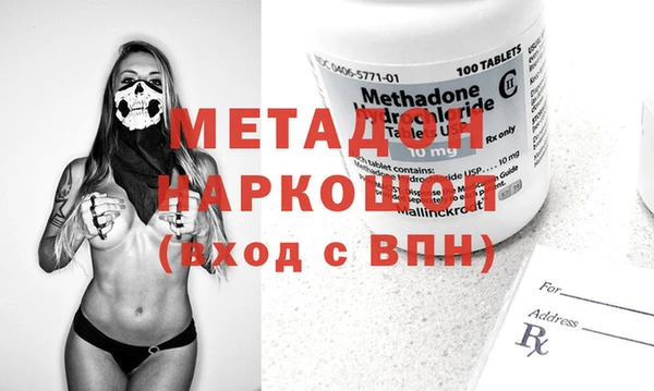 прущие грибы Новодвинск