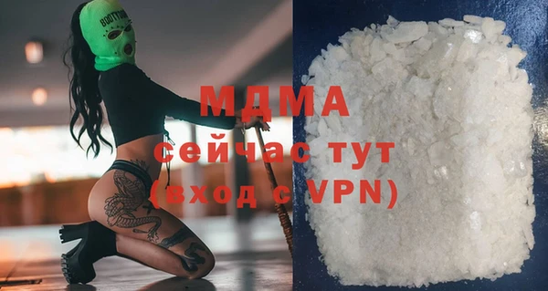 прущие грибы Новодвинск