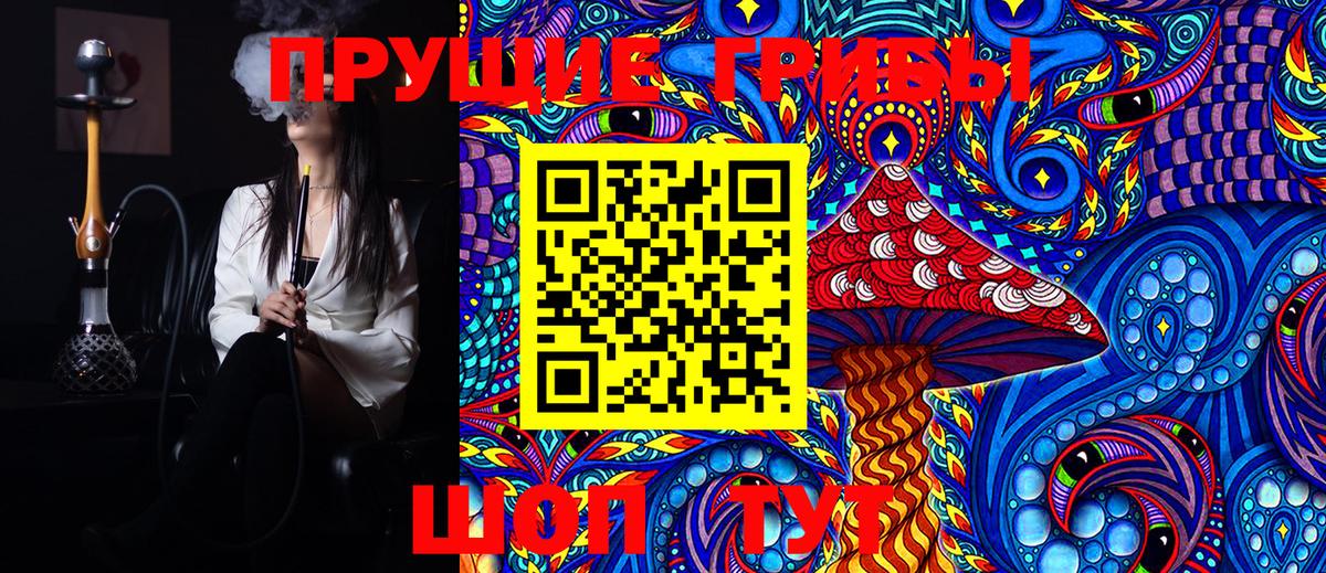 Кувандык  Галлюциногенные грибы Psilocybe  Вход с VPN 